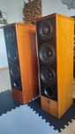 Canton digital 2.1 hi end referencyjne + mikrofon dsp i 2 kontrolery