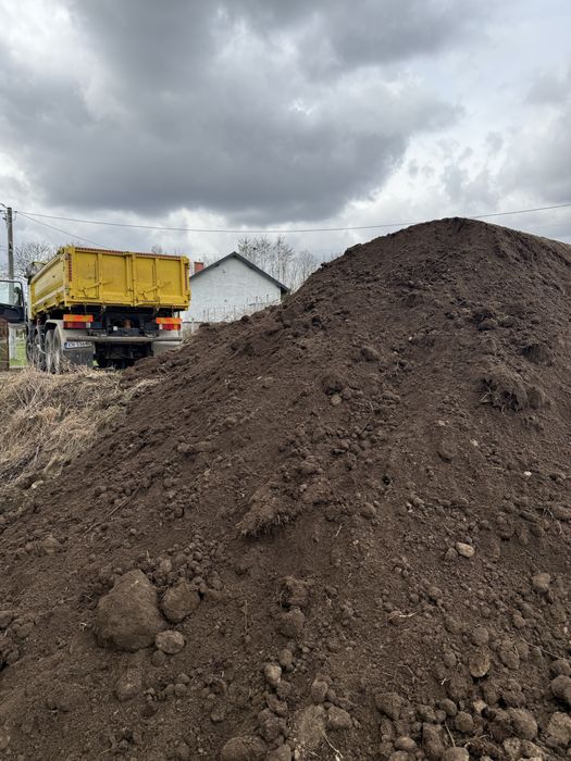 Usługi  Transportowe