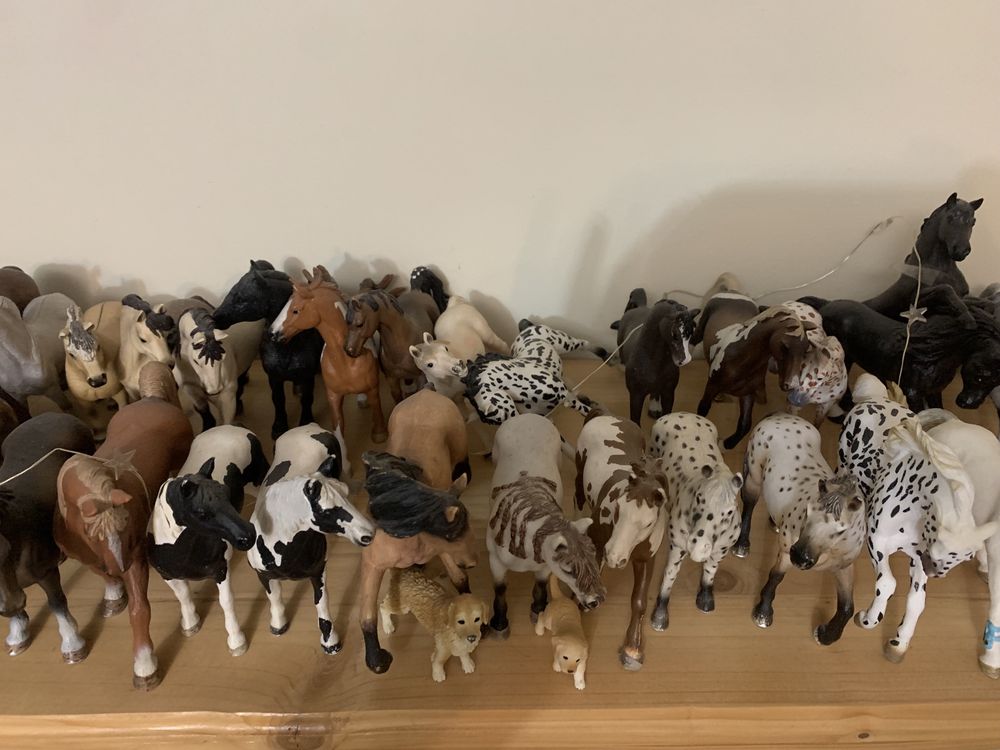 Kolekcja schleich