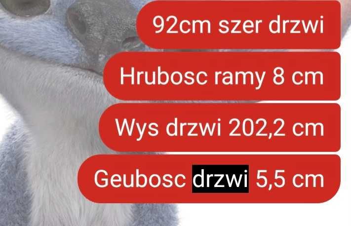 Drzwi wejsciowe z futryną stan bardzo dobry lustro weneckie solidne