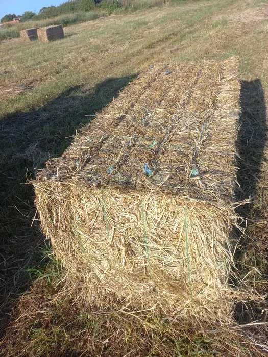 Fardos de feno 80x90