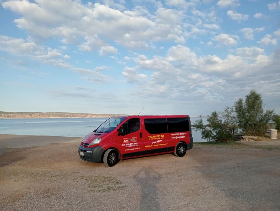 Wynajem busa Bus wynajem auto zastępcze 9 os long bez limitu km fv par