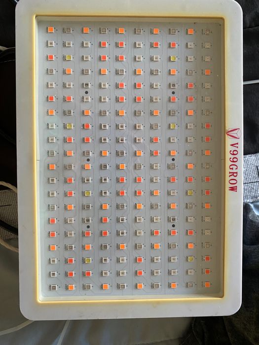 Grow - kit para cultivo indoor