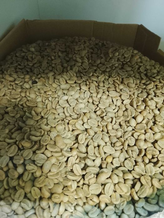 Café puro Arábica de alta qualidade