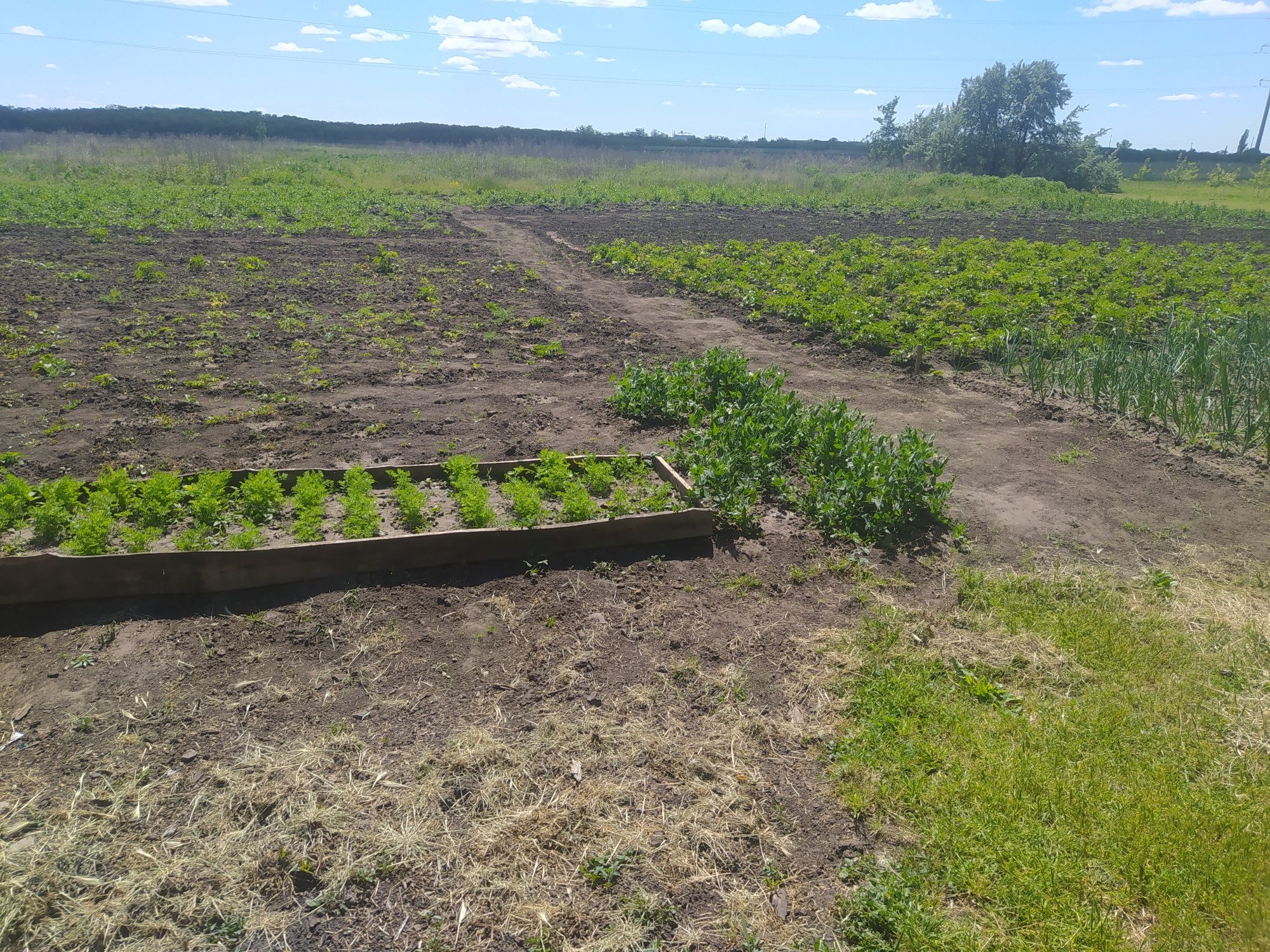 Продам будинок в. Селі Орлівщина