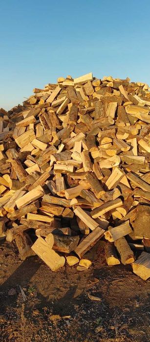 Drewno kominkowe, opałowe, dąb, grab, buk, brzoza, olcha