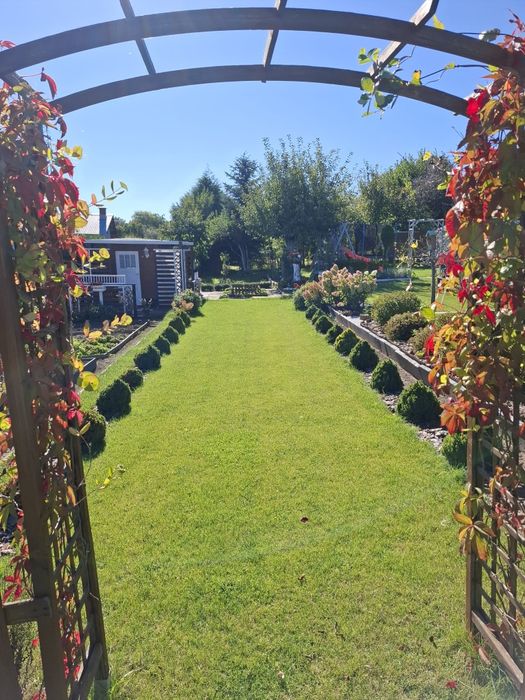 Piękna działka ROD z widokiem na jezioro 437 m2