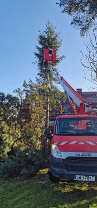 Usługi podnośnikiem koszowym - zwyżka 20m