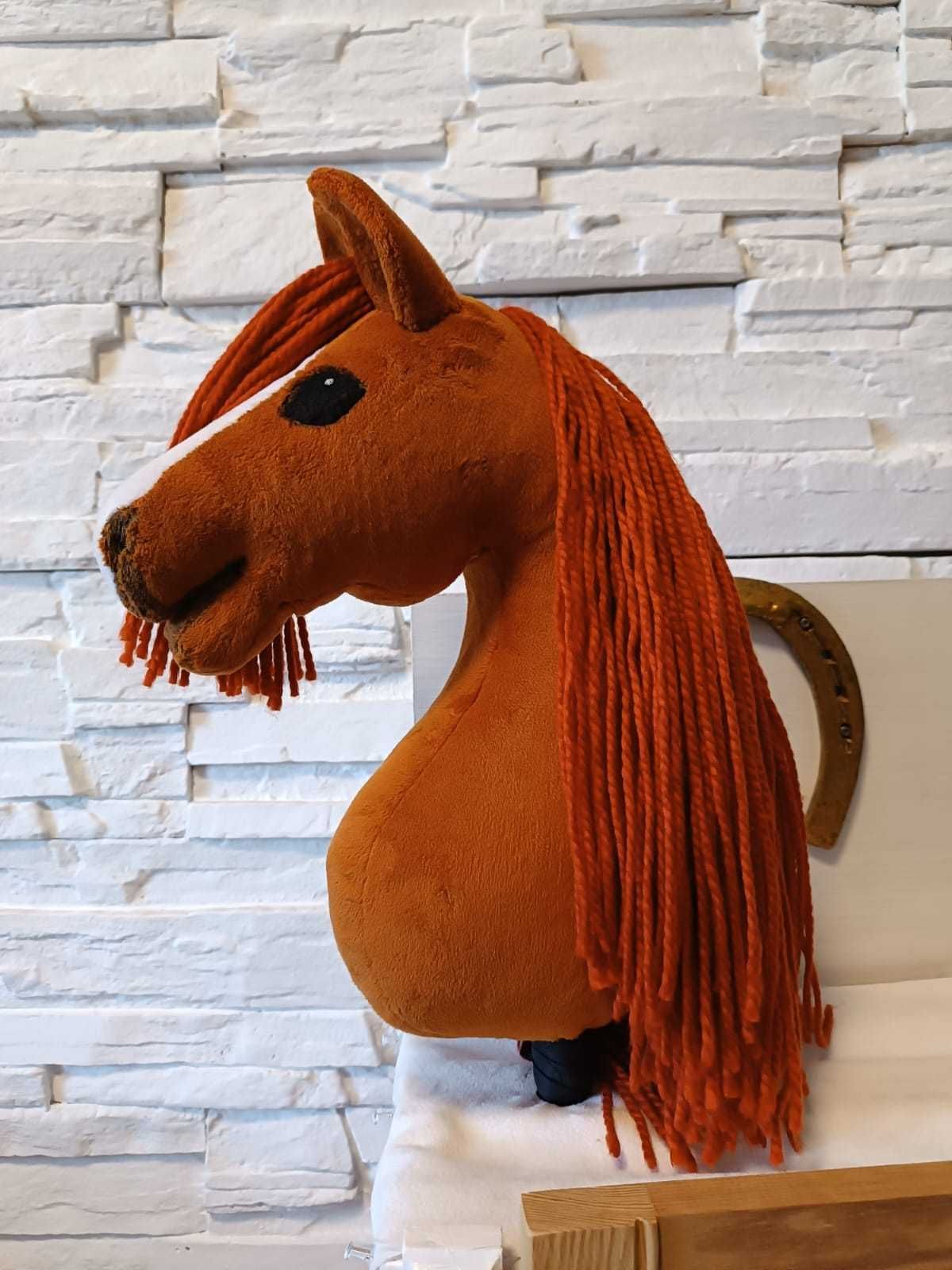 Konik Hobby Horse