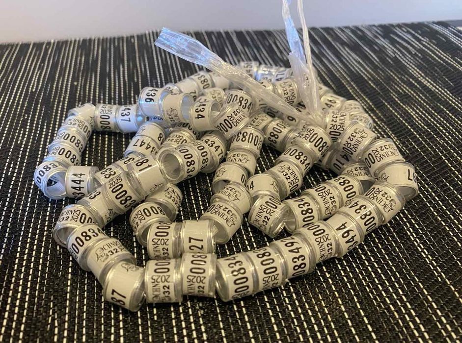 РОЗПРОДАЖ! Кільця метало-пластикові  8мм,10мм 2025 рік