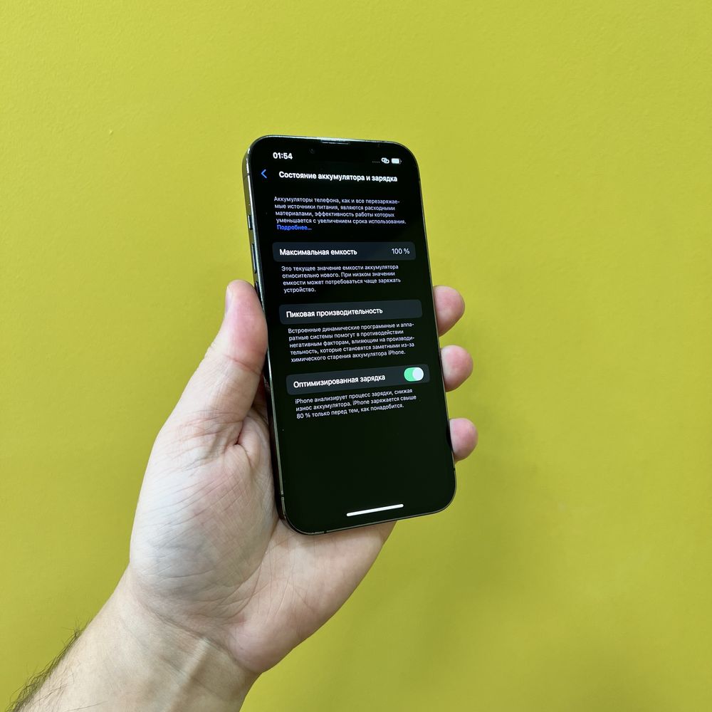 iPhone 13 Pro 1TB Graphite Neverlock