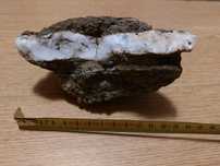 Opal Sulistrowiczki Sudety