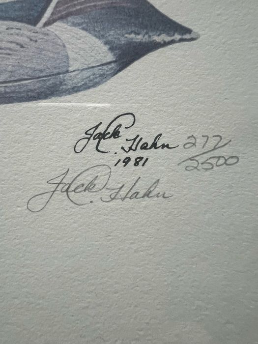 Zestaw 3 grafik Jack L. Hahn sygnowane limitowane wydruki kaczek