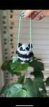 Panda na szydełku