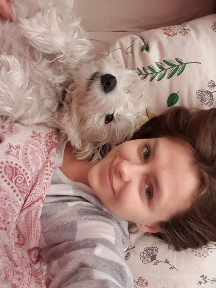 Перетримка собак, няня для собаки, дог сіттер, dog sitter