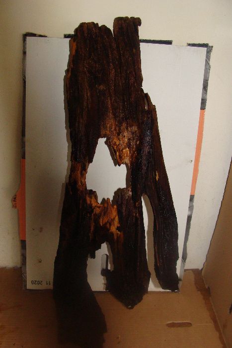 Sprzedam korzeń do akwarium