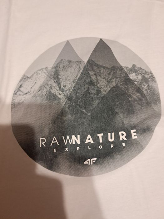 Koszulka t-shirt męski 4F w rozmiarze XXXL