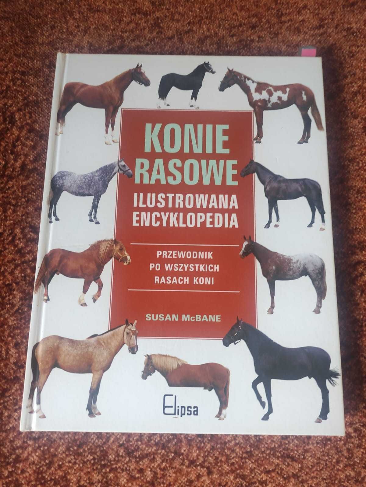 Konie rasowe Susan McBane