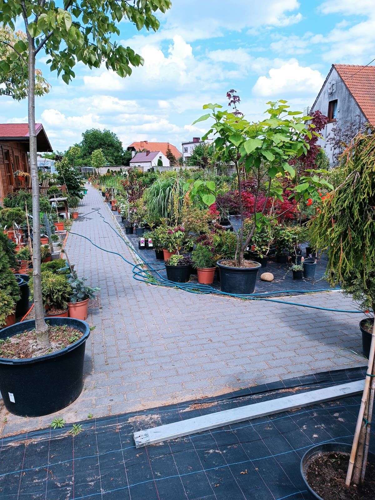 Zakładanie ogrodów pielęgnacja ogrodu nawadnianie