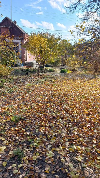 Продам будинок у місті Берестин (район Низовки)