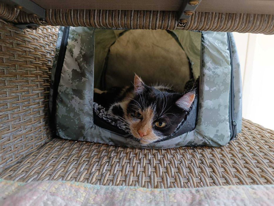 Уличный теплый водонепроницаемый домик для диких кошек и собак