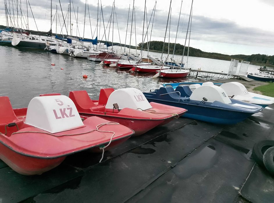 Rowerek 4 osobowy duży