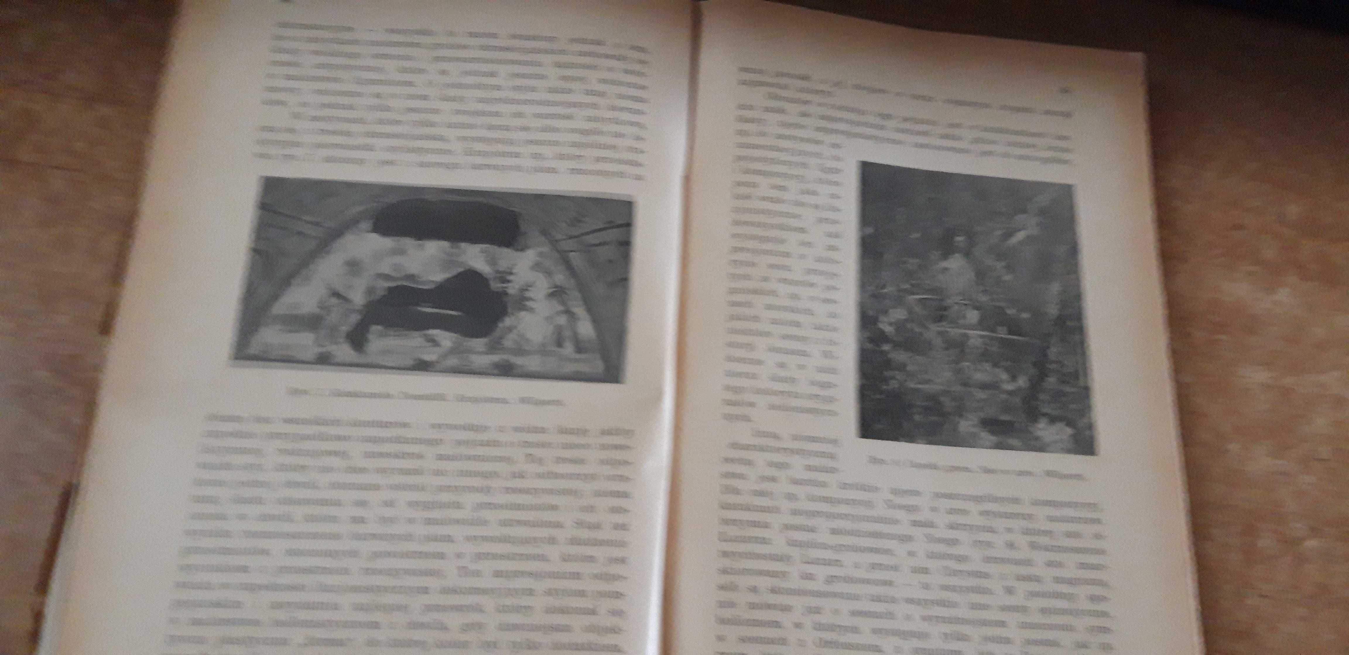 Historja sztuki starochrześcijańskiej -Mole- 1931 ryc.