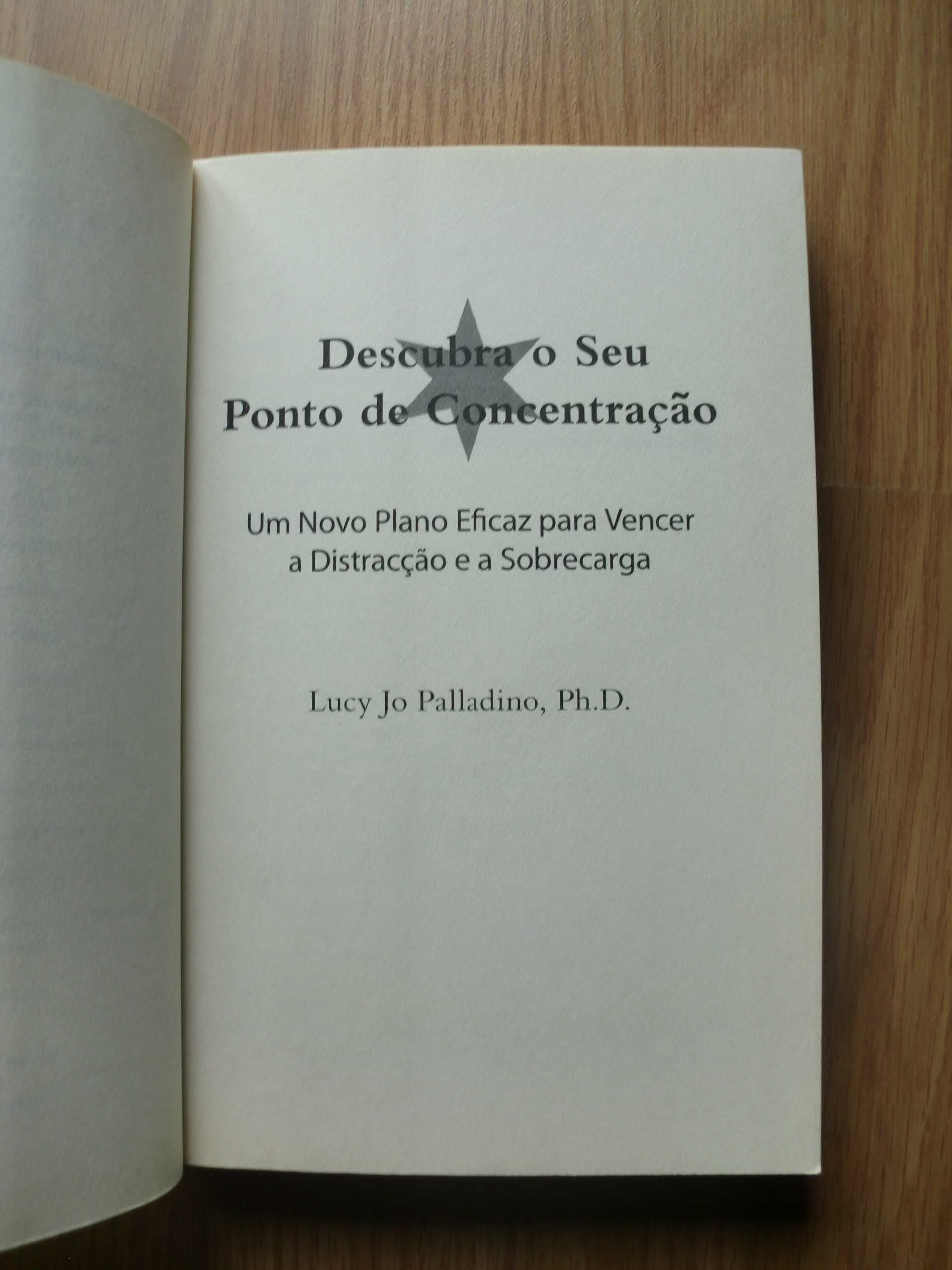 Descubra o Seu Ponto de Concentração de Lucy Jo Palladino