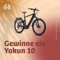 Електровелосипед  Winora Yakun 10 рама 45 см