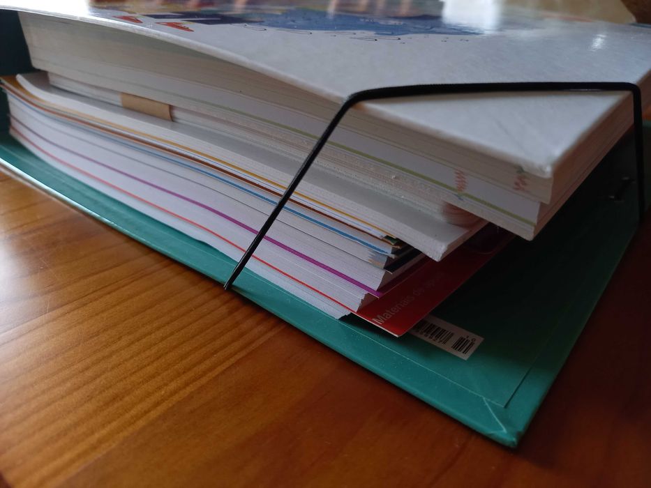 (NOVO, PORTES GRÁTIS) O Mundo em Palavras 9: Dossiê do Professor