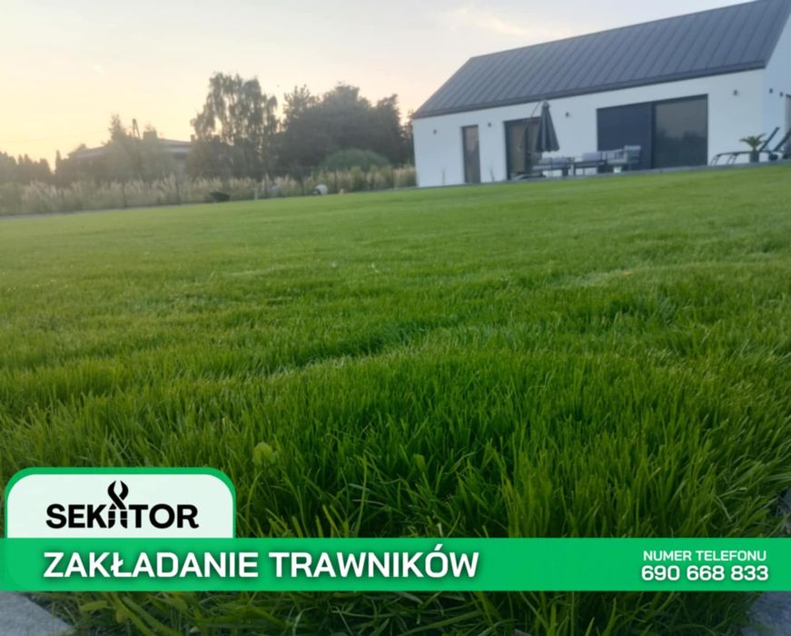Usługi ogrodnicze: zakładanie trawników, nawadnianie, pielęgnacja