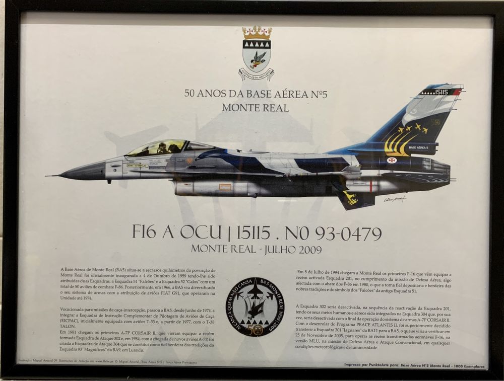 Quadro F16 Força Aérea Portuguesa