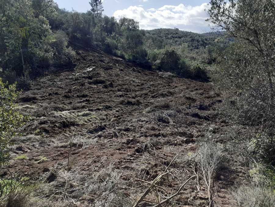 Propriedade Barro do Cocharro sito ao Compasso