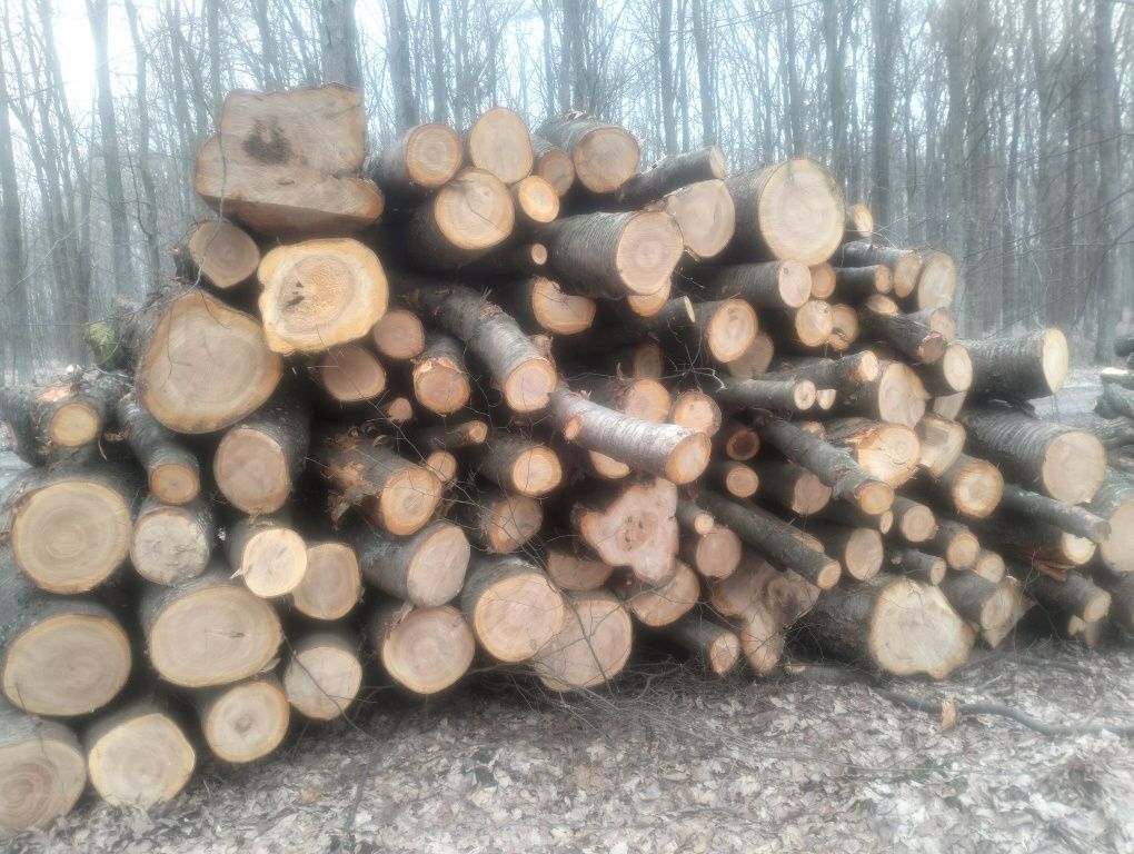 Drewno opałowe różne gatunki