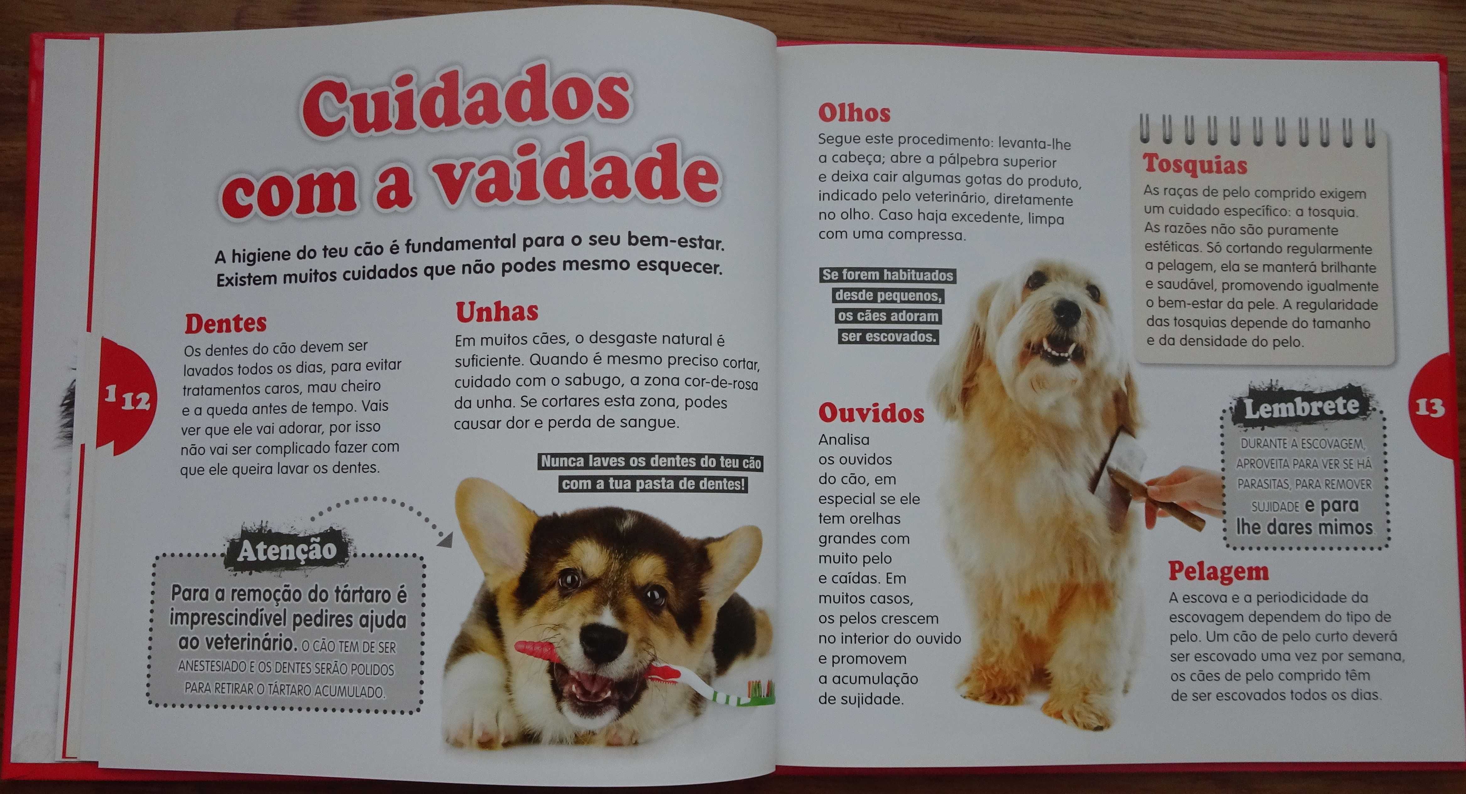 Mãe Pai Eu Quero Um