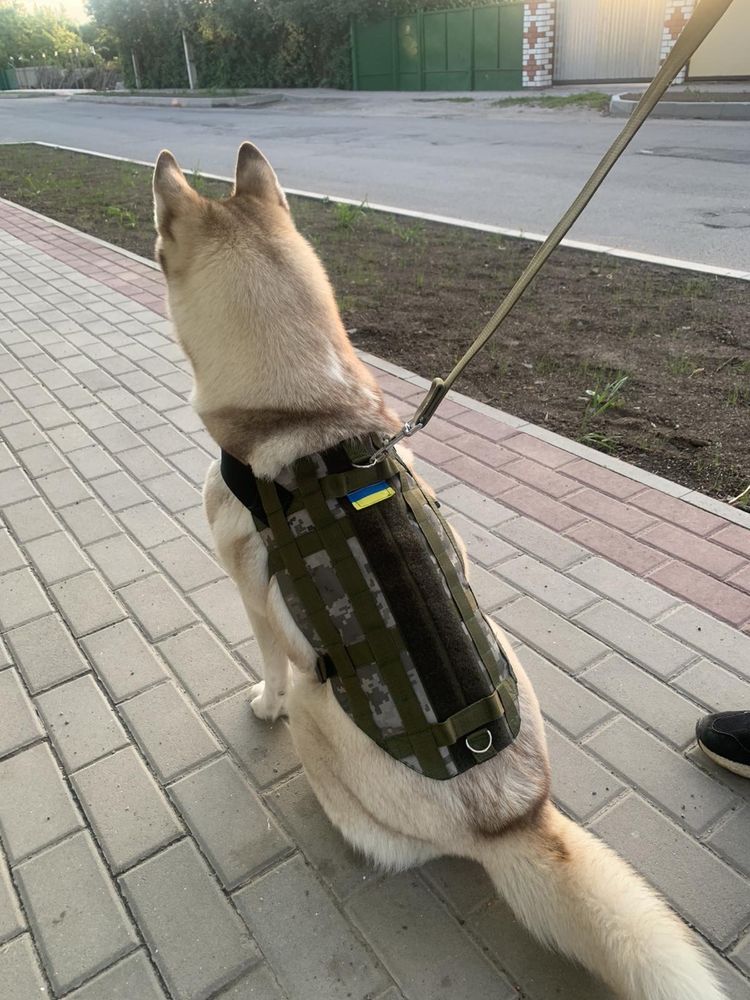 Жилетка розгрузка для собак - форма для військових собак