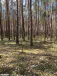 Osiedle Wilga, działka 2552m2, ul. Konwaliowa