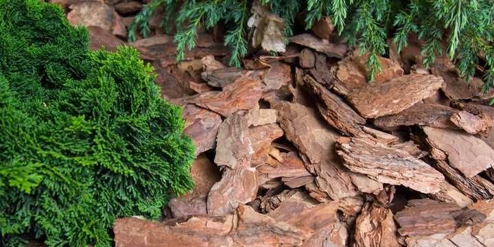 Kora sosnowa sortowana, różne frakcje uniwersalna/gruba/drobna  EXTRA