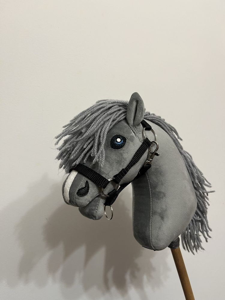 kantar dla hobby horse