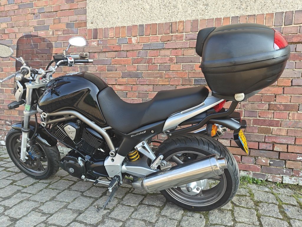 Yamaha BT 1100 Bulldog .2004r. Serwis ASO // kufer