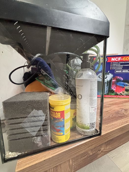 Akwarium z pokrywa 60 l