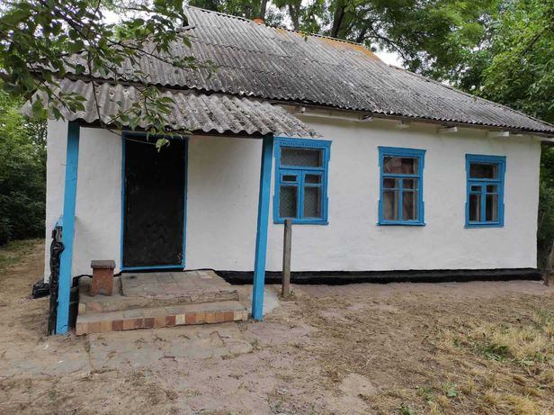 Продається будинок в селі Шупики, Київська область