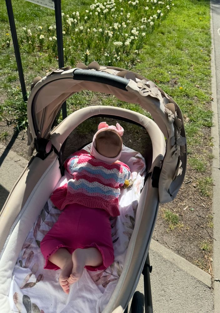 Візок Cybex Priam simple flowers beige, шасі matt black
