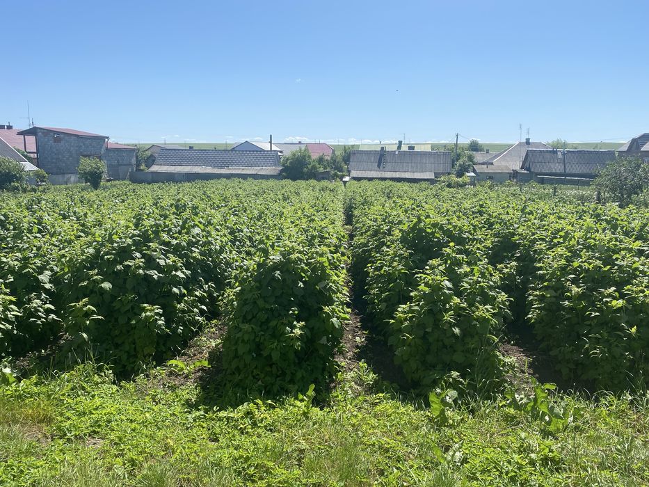 Продаж будинку м.Зборів