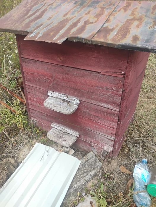 Sprzedam ul z pszczołami,młoda matka krainka,zdrowe pszczoły