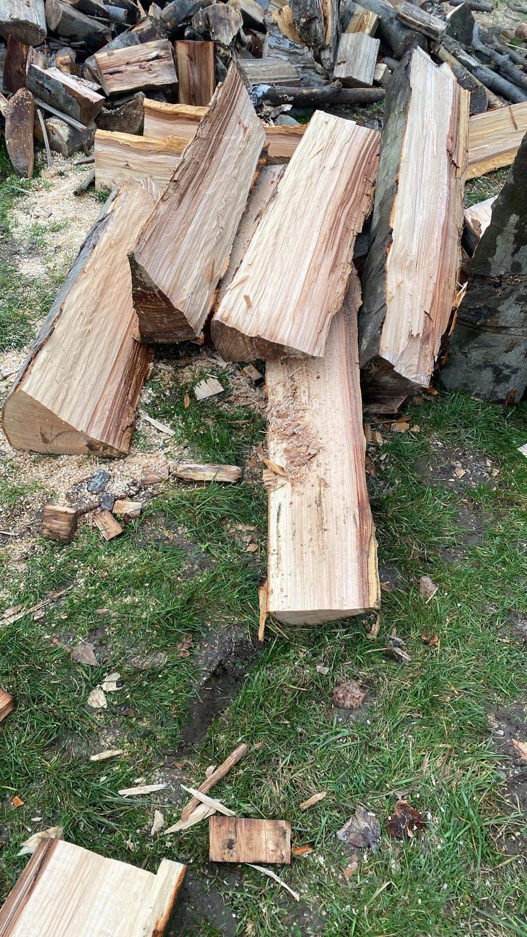 Drewno bukowe opałowe