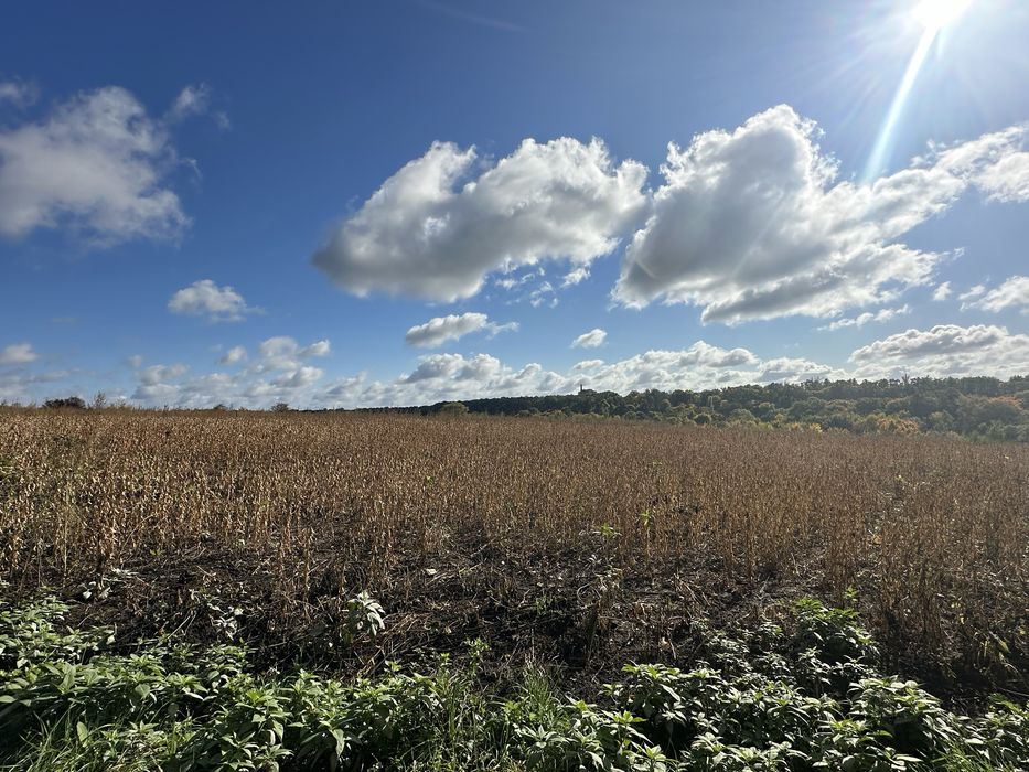 Ділянка під житлову забудову 2,54 га с. Біла