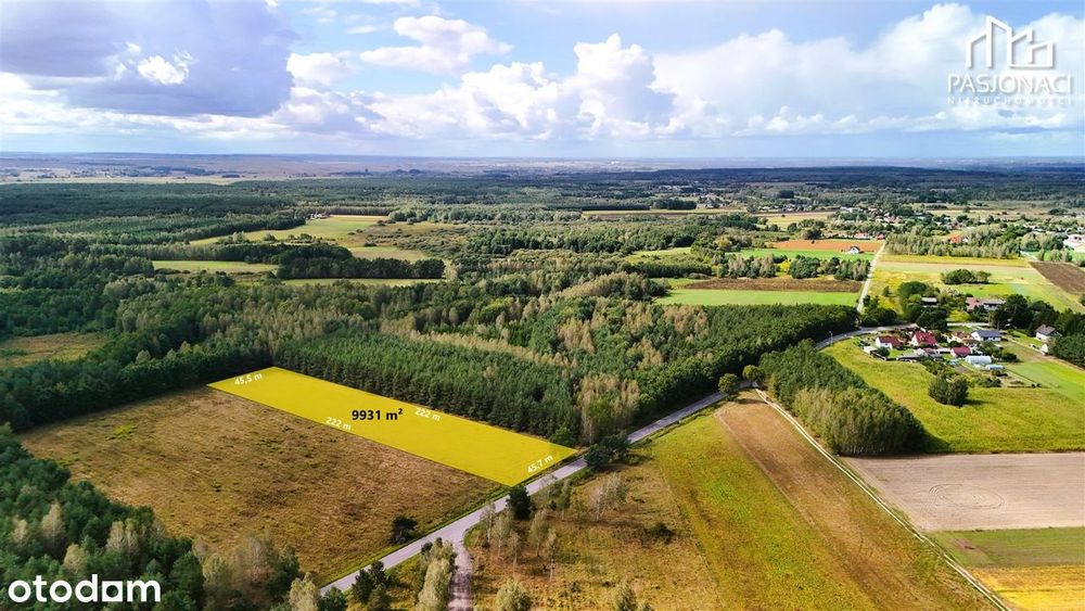 Atrakcyjna nieruchomość w Lisznie