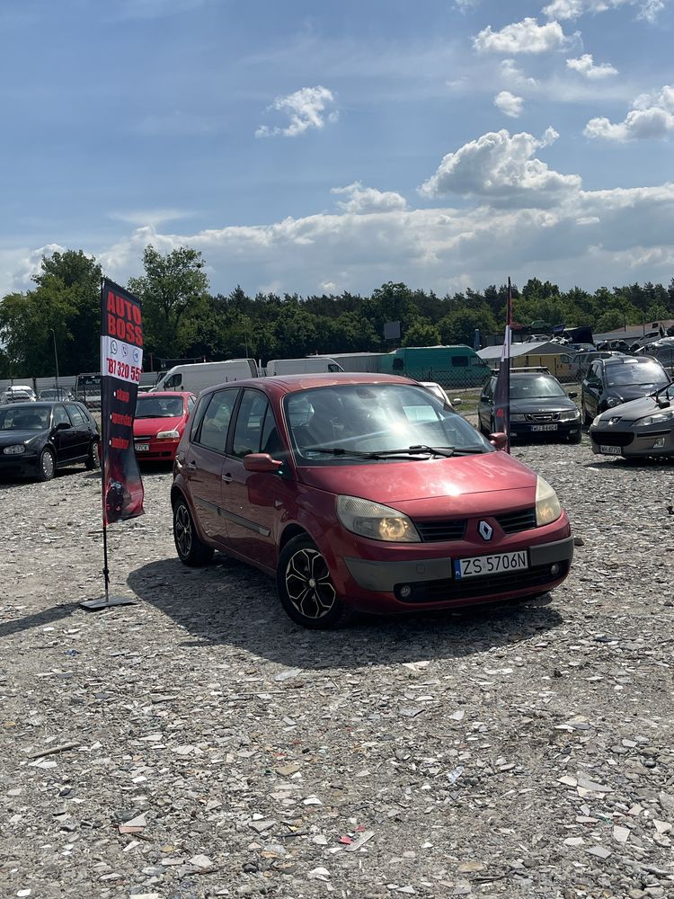Na Sprzedaż Renault scenik 1.9D/bez rdzy/super stan/alu/klima/wygodny