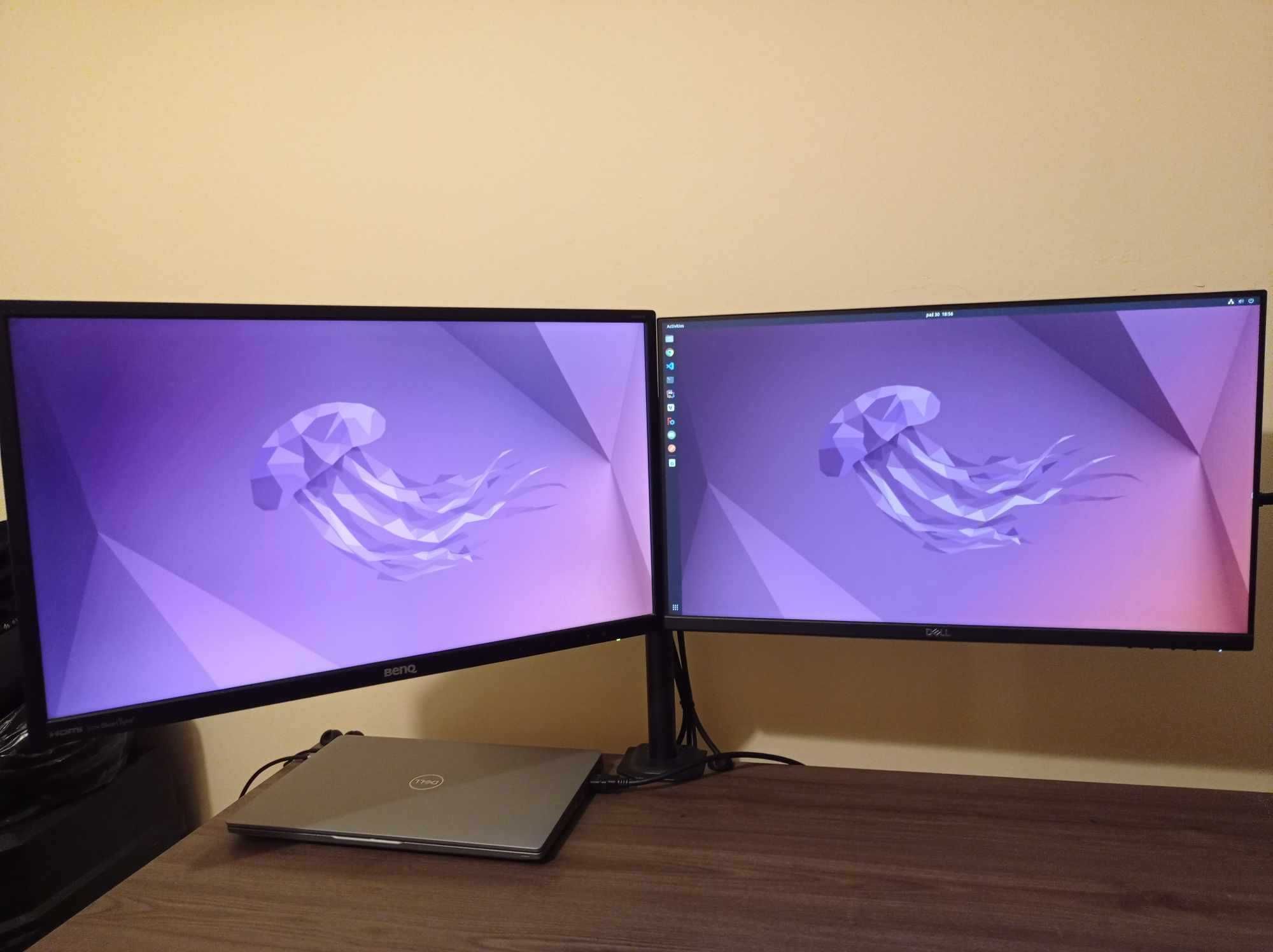 Monitor Dell P2419H + Monitor BENQ GW2470 + uchwyt